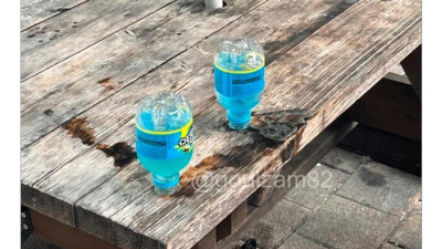 편돌이 업무 난이도 근황