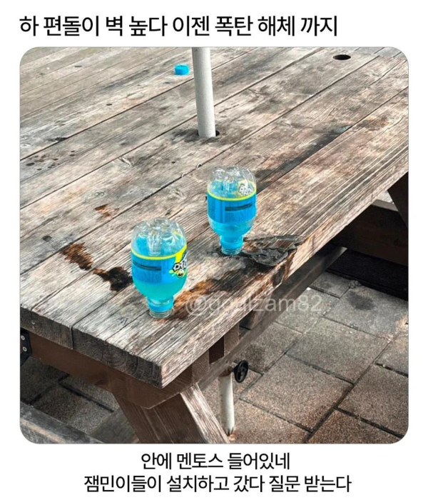 편돌이 업무 난이도 근황