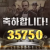 월드후기