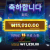뉴헤븐 후기