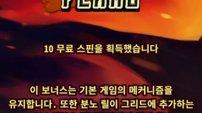 뉴헤븐후기