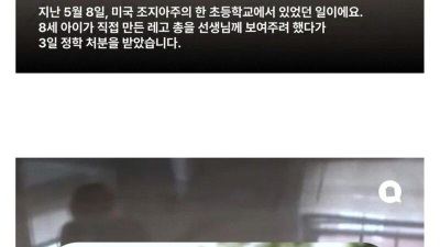 현재 논란이라는 미국 초등학생 정학 사유