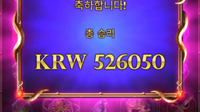 뉴헤븐후기