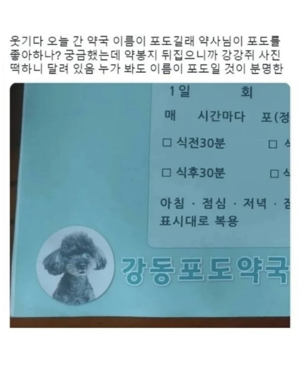 상가이름 레전드 모음집
