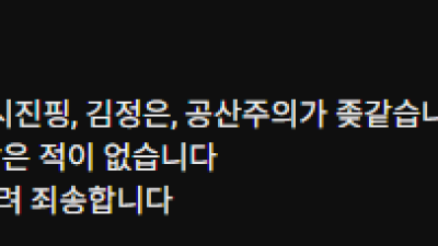 유투버 고재영 친중 좌파 논란 해명문 전문